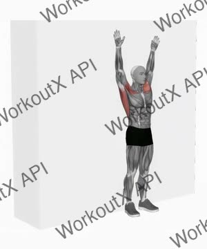 Bodyweight Standing Around World Wall Supported exercise demonstration