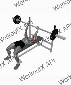 Barbell Lying Triceps Extension exercise demonstration