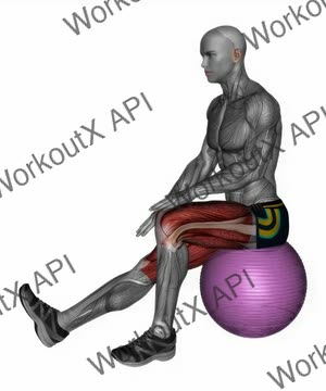 Exercise Ball Seated Hamstring Stretch exercise demonstration