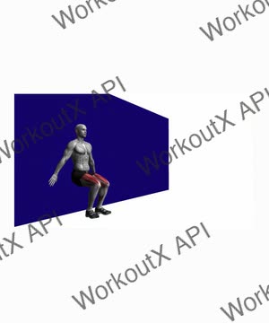 Wall Sit Bodyweight exercise demonstration