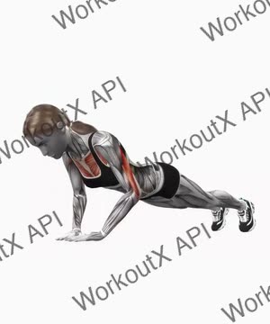 Diamond Push Up exercise demonstration