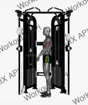 Cable Triceps Push Down Ez Bar exercise demonstration