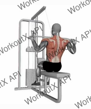 Lat Pull Down Wide Grip exercise demonstration