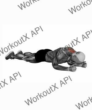 Lying Neck Extension exercise demonstration