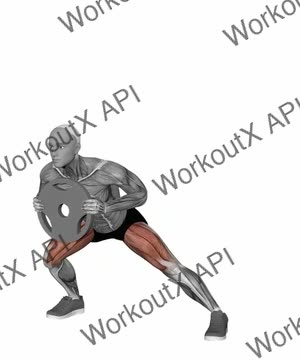 Plate Lateral Lunge exercise demonstration
