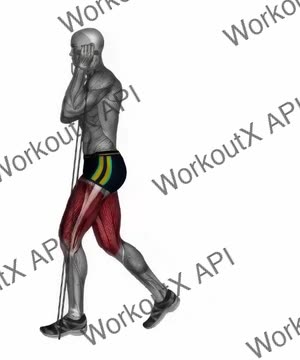 Lunge Reverse With Resistance Band exercise demonstration