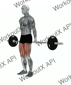 Barbell Reverse Deadlift exercise demonstration