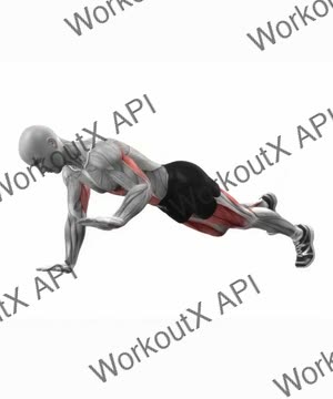 Alternate Arm Leg Plank exercise demonstration