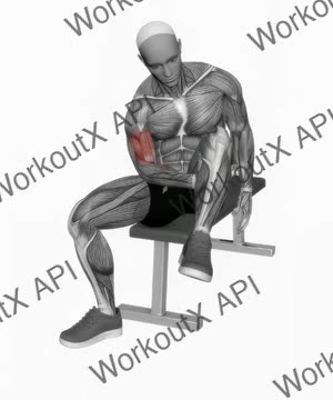 Biceps Leg Concentration Curl exercise demonstration