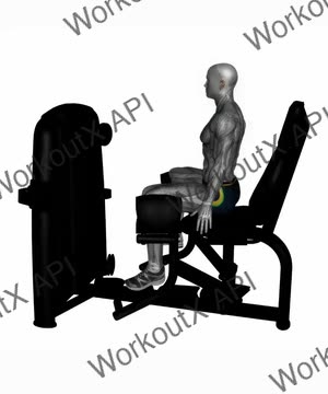 Seated Hip Abductor Machine exercise demonstration