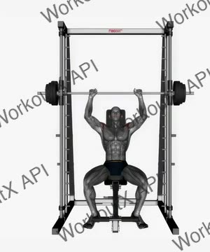 Smith Machine Shoulder Press exercise demonstration