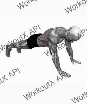 Scapula Push Up exercise demonstration