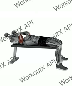 Dumbbell Skullcrusher exercise demonstration