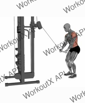 Straight Arm Cable Lat Pull Down exercise demonstration