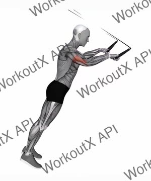 Suspension Trainer With Grips Triceps Extension exercise demonstration