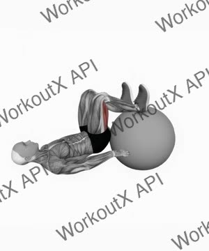 Exercise Ball Leg Curl exercise demonstration