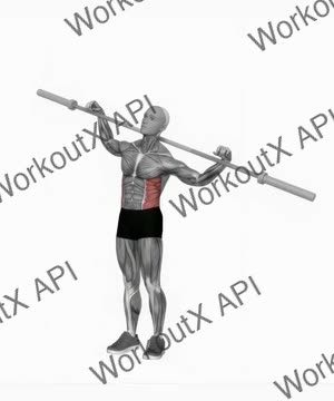 Barbell Side Bends exercise demonstration