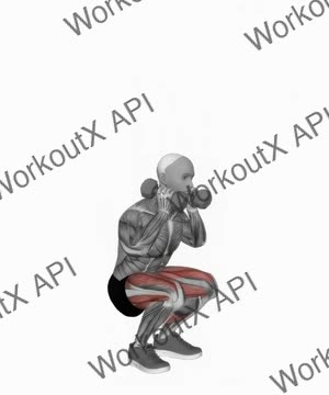 Dumbbell Front Squat exercise demonstration