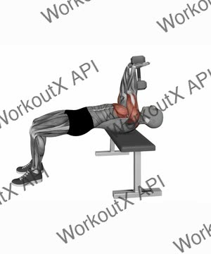 Dumbbell Chest Pull Over exercise demonstration