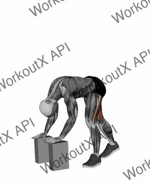 Pyramid Pose Blocks exercise demonstration
