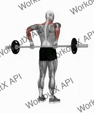 Barbell Rear Delt Raise exercise demonstration
