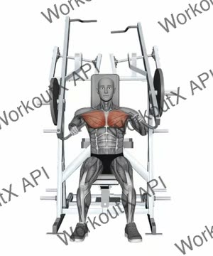 Hammer Strength Plate-Loaded Combination Iso-Lateral Chest - Chest Press_Alternating Arms exercise demonstration