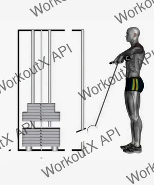 Cable Upright Row With Ez Bar exercise demonstration