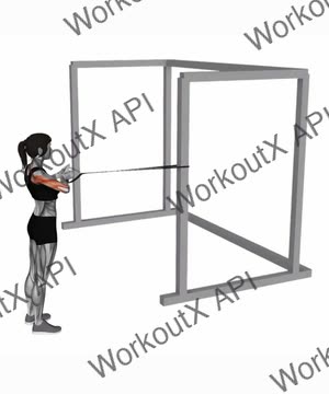 Band Close Grip Row exercise demonstration
