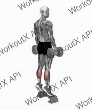 Dumbbell Standing Calf Raise on Step exercise demonstration