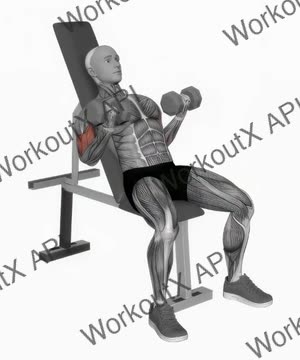 Dumbbell Incline Biceps Simultaneous Curl exercise demonstration