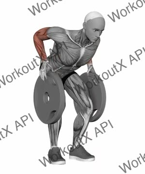 Plate Pinch Grip Row exercise demonstration