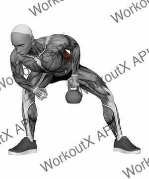 Kettlebell Single Arm Row exercise demonstration