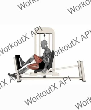 Horizontal Leg Press Single Leg exercise demonstration