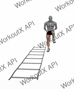 Agility Ladder in in Out Out With Knee Lift exercise demonstration