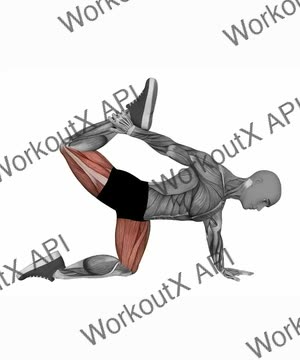 All Fours Quad Stretch exercise demonstration