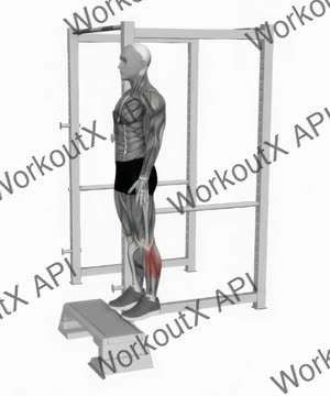 Elevated Standing Calf Raise exercise demonstration