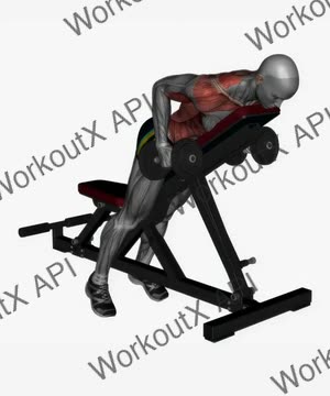 Prone Bench Row Dumbbells exercise demonstration