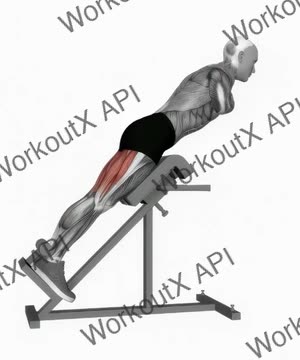 45 Degree Hyperextension Arms to Chest exercise demonstration