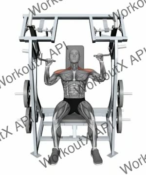 Iso Lateral Shoulder Press Alternate Arms exercise demonstration