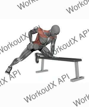 Dumbbells Single Arm Row exercise demonstration