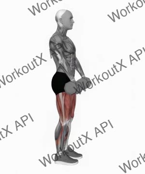 Dumbbell Romanian Deadlift exercise demonstration