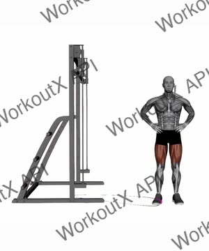 Band Hip Adduction exercise demonstration