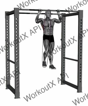 Band Pull Up exercise demonstration