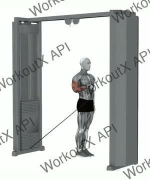 Cable Twisting Biceps Curl exercise demonstration