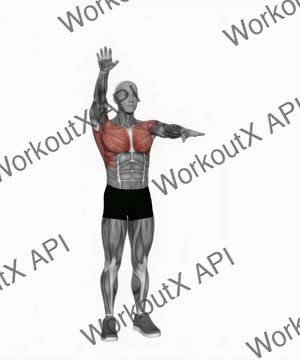 Arms Up and Down exercise demonstration