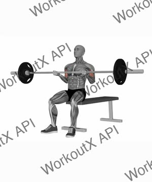 Barbell Lap Curl exercise demonstration