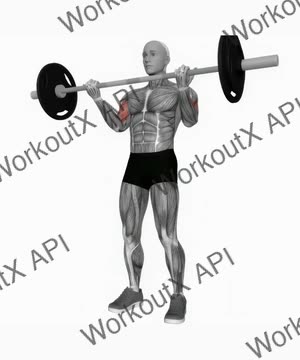 Barbell Biceps Curl exercise demonstration