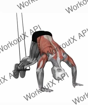 Suspension Trainer With Grips Pike exercise demonstration