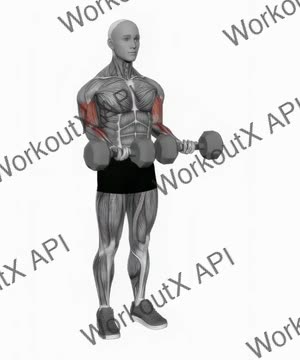 Dumbbell Close-Grip Simultaneous Curl exercise demonstration