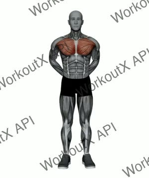 Arms Behind Back Chest Stretch exercise demonstration